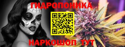 стаф Славгород