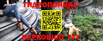 стаф Славгород