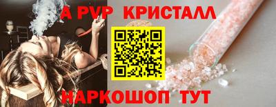 стаф Славгород