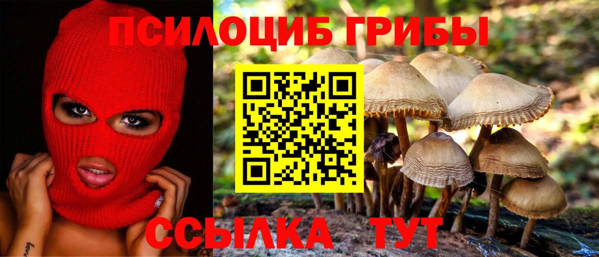НБОМе  ГАШИШ  Сосновый Бор  Бошки Шишки  Меф МЯУ МЯУ  Меф   Вход с VPN 