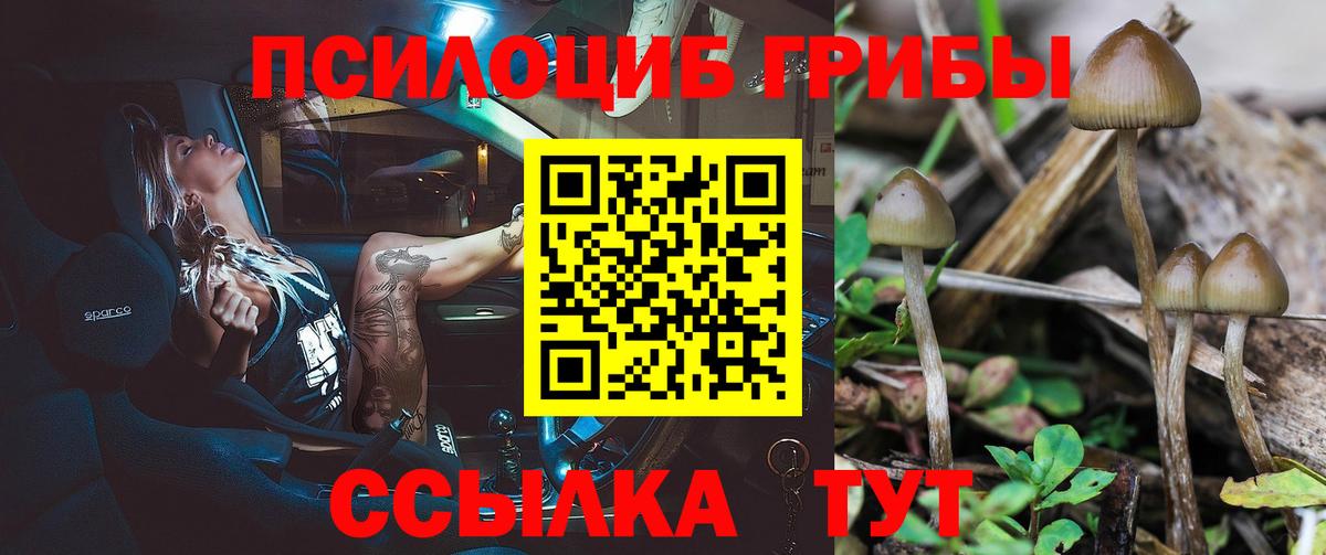 Сосновый Бор  Галлюциногенные грибы ЛСД  Вход с VPN 